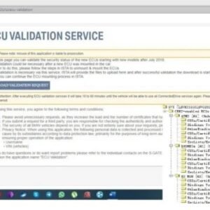 ECU Validation Service for BMW MGU ATM2 Dkombi4